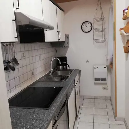 Tatil Evi Feriendorf Reichenbach - Biberweg 12
